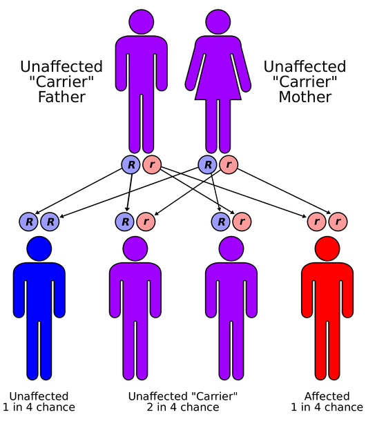 what is a recessive gene defect