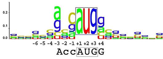 Sequence logo example