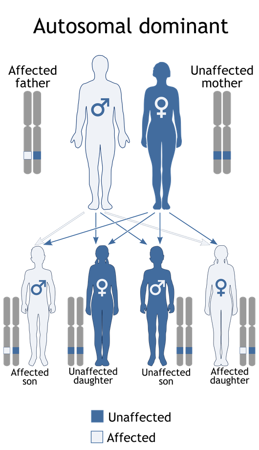 ROSALIND Glossary Dominant Allele