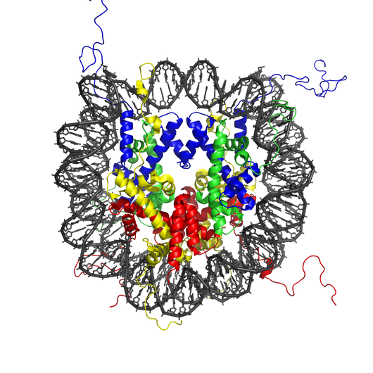 Nucleosome